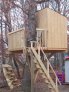Fry treehouse