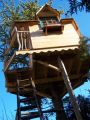 Mauchamp treehouse
