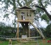 Williams treehouse
