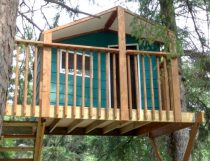 Zelkova treehouse plans for two trees